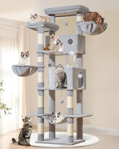 Taoqimiao Pet Activity Structure in 76 inch, Light Gray