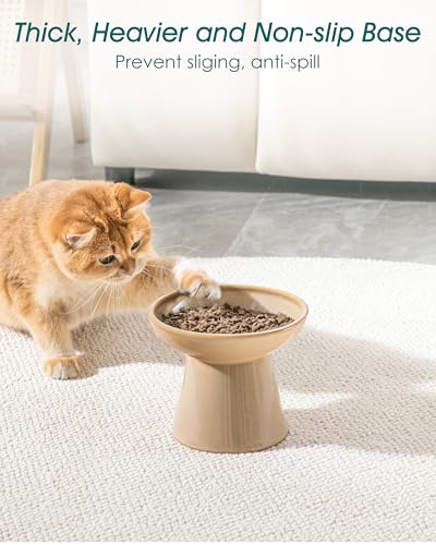 vancasso Pet Feeder in 2 Pack-Food & Water Bowls, Brown