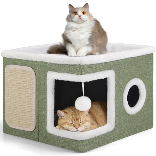 Shikha Animal Shelter in Large, Green