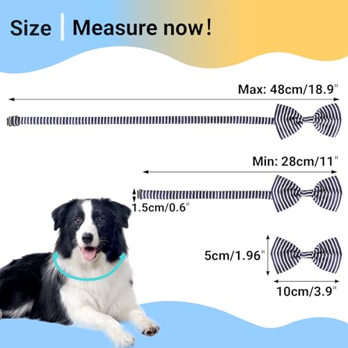 Segarty Pet Apparel in 40PCS, 40pcs-vivid
