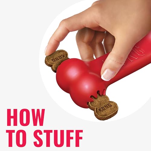 KONG Pet Toy in Medium (Pack of 2), Red