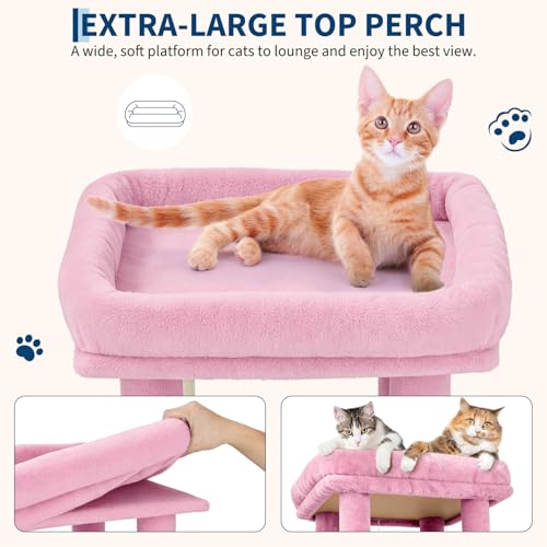 OUTLANE Pet Activity Structure in Pink, Pink