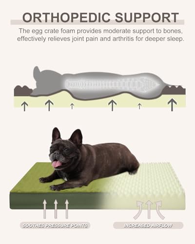 KSIIA Pet Bed Mat in 23.0"L x 17.0"W x 3.0"Th, Green