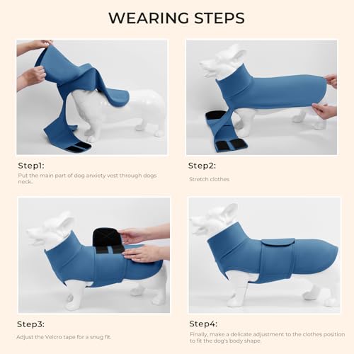 Haloumoning Pet Apparel in X-Small, Blue