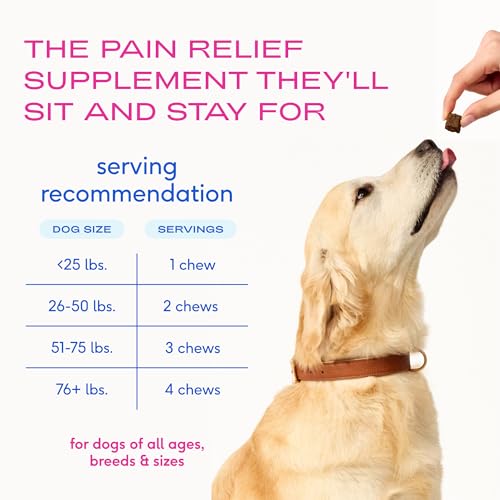 Native Pet Animal Nutritional Supplement in 60 Servings, Inflammatory Care