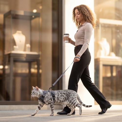 pangdi Animal Harness in Small, Grey