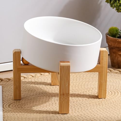 DJJJOOYS Pet Feeder in Slanted Small Dog Bowl, White