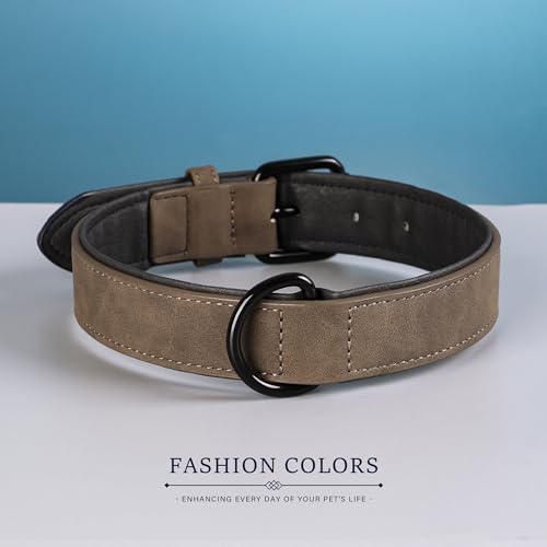 Didog Animal Collar in M: Fit Neck 11-14"(10-20 lbs), Brown