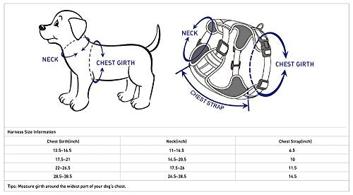 Blueberry Pet Animal Harness in Large, Blue-gray and Olive
