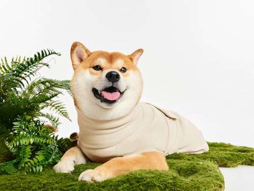 Haloumoning Pet Apparel in X-Small, Beige