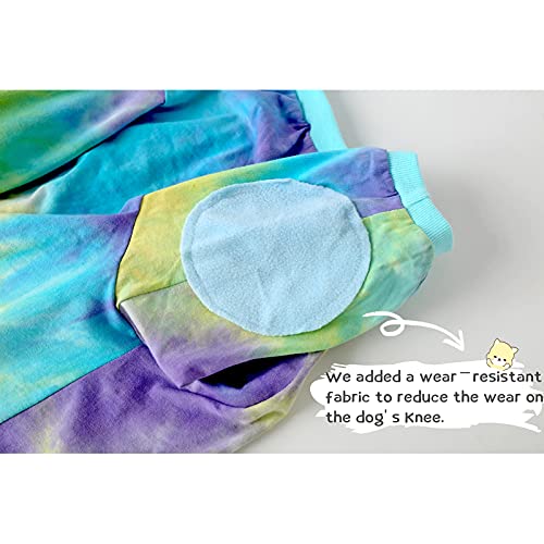 PriPre Pet Apparel in Medium, Blue