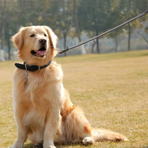 Guiding Star Leash in X-Small, Black