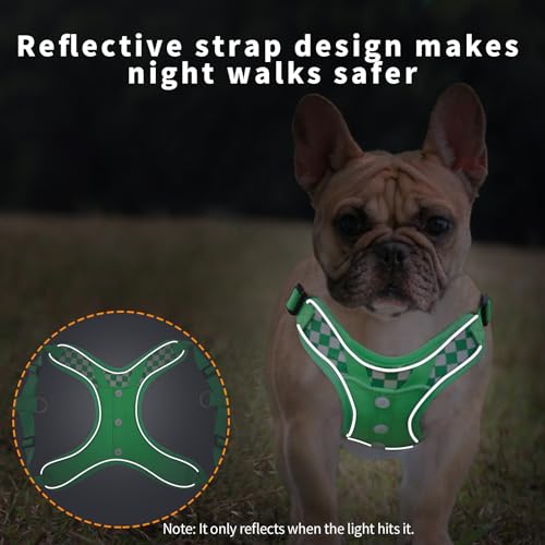 SAEGYPET Animal Harness in Medium, Green (denim)