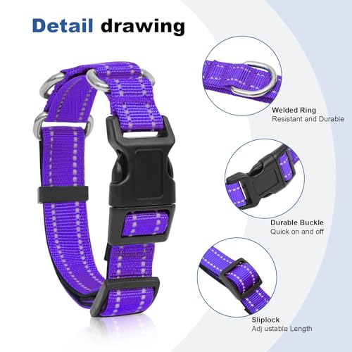 GDLKPS Animal Collar in XS:3/4" Wide for 11.5"-13.5" Neck, Purple