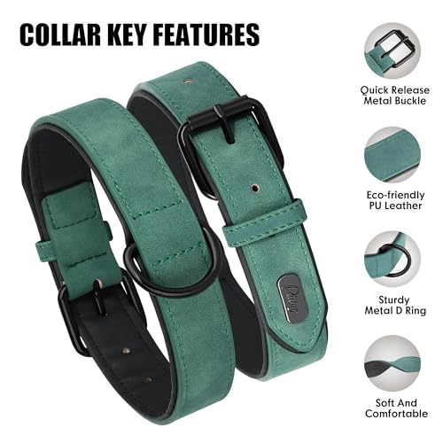 Didog Animal Collar in M: Fit Neck 11-14"(10-20 lbs), Green