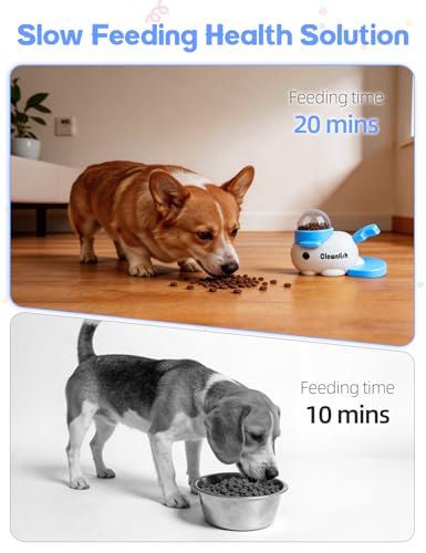 Generic Pet Feeder in blue