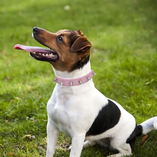 WeimoMonkey Animal Collar in X-Small(Neck7.5-10"), 40 Pink