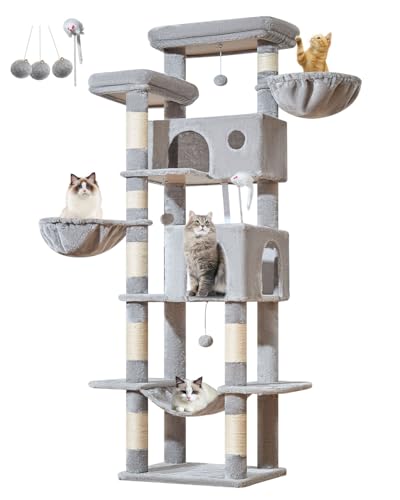 Taoqimiao Pet Activity Structure in 76 inch, Light Gray