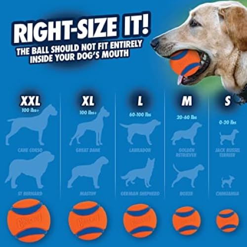 Chuckit! Pet Toy in Medium, Ultra