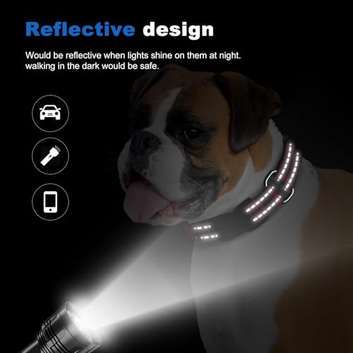 GDLKPS Animal Collar in XS:3/4" Wide for 11.5"-13.5" Neck, Rose Red