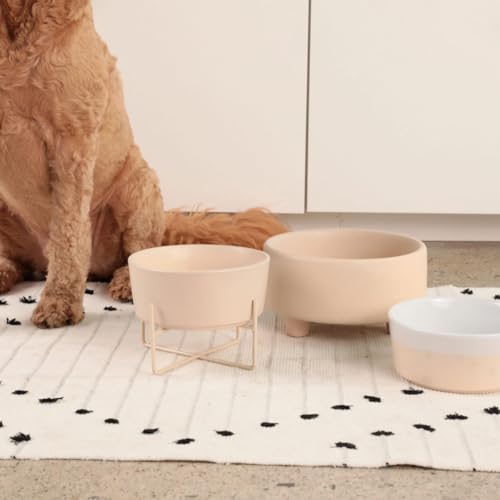 Waggo Pet Feeder in Small, Buttercream