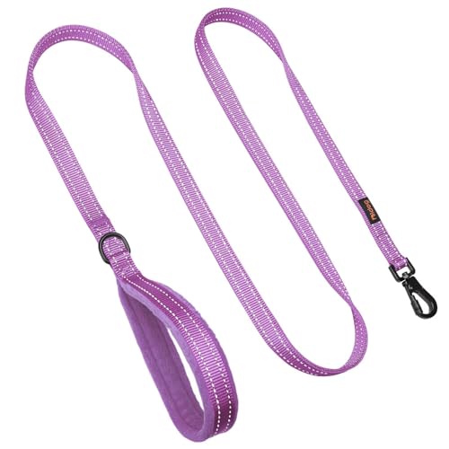 Didog Leash in 3/4''x 4 FT, Purple