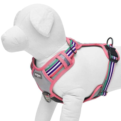 Blueberry Pet Animal Harness in Small, Pink, Emerald and Orchid