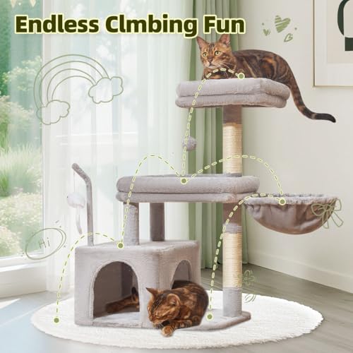Taoqimiao Pet Activity Structure in L, Light Gray