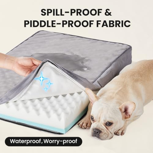 OhGeni Pet Bed Mat in 30" x 20" x 3" (For Sprawling), 01-Gray