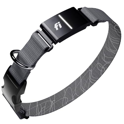 Fi Location Tracker in X-Small, Gray