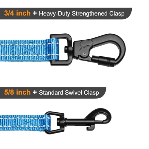 Didog Leash in 3/4''x 4 FT, Blue