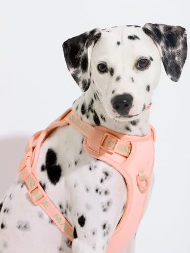 Maogoublue Animal Harness in S(Neck:11.8-17.7",Chest:17.7-21.6"), Dune Beige
