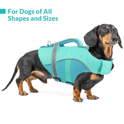 Queenmore Pet Apparel in X-Small, LightBlue