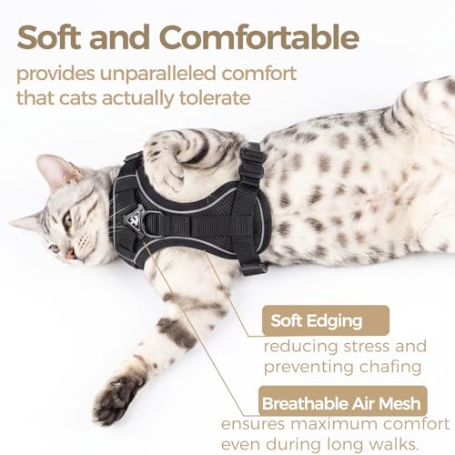 pangdi Animal Harness in Small, Black