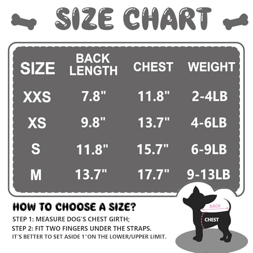 Generic Pet Apparel in XX-Small, black