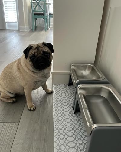 Fluff Trough Pet Feeder in Gray
