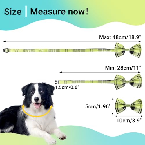 Segarty Pet Apparel in Small to Medium, 80pcs-vivid