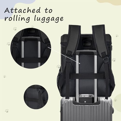 ANILD Animal Carrier in Black