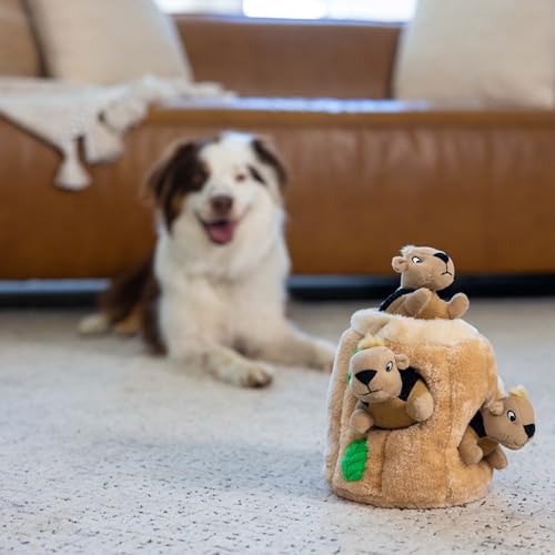 Outward Hound Pet Toy in Medium (Pack of 12), Squirrel Medium