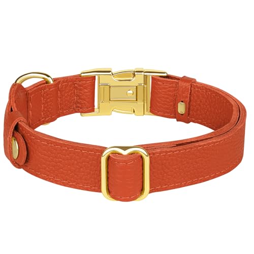 BUDKAS Animal Collar in XS, 9"-12" Neck Fit, Orange