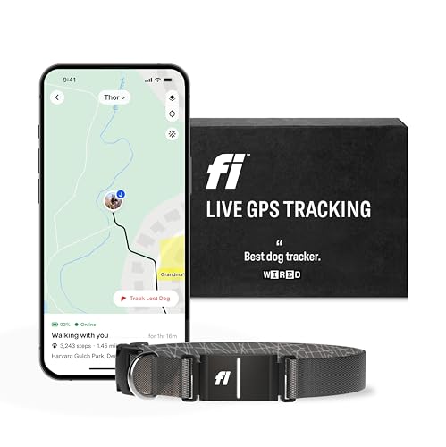 Fi Location Tracker in X-Small, Gray - Old Version