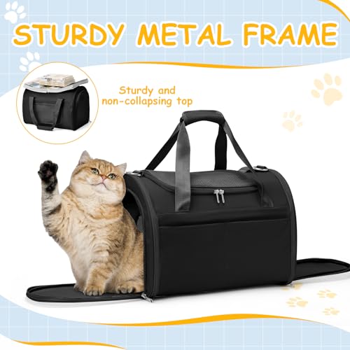 WEPLAN Animal Carrier in 17.9"L x 11.8"W x 12.9"H, Black
