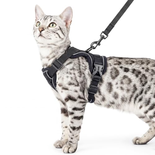 pangdi Animal Harness in Small, Black