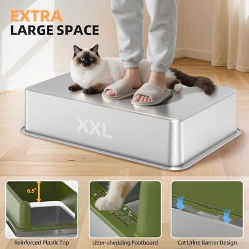 WoofiGo Litter Box in X-Large, 2 - Green (Pack of 1)