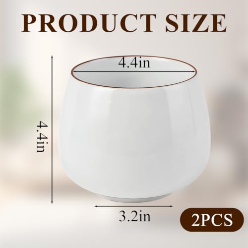 COZFUR Pet Feeder in White