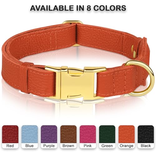 BUDKAS Animal Collar in XS, 9"-12" Neck Fit, Orange