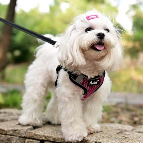 PUPTECK Animal Harness in S (13-17lbs, Chest 15"-18"), #1 HotPink(Breathable Mesh)
