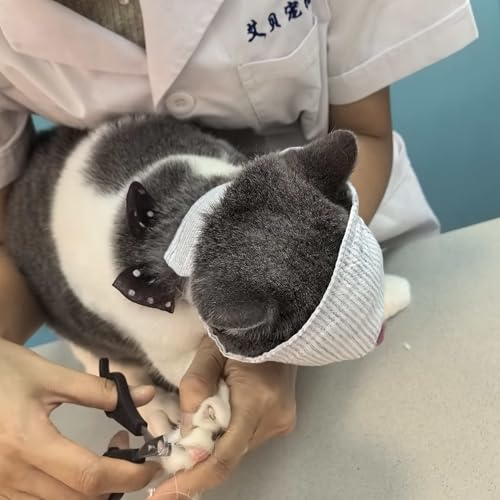 FDANDADE Pet Supplies in S, Cover-eyes