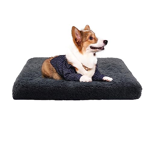 BECNBEAU Pet Bed Mat in S, Dark Grey