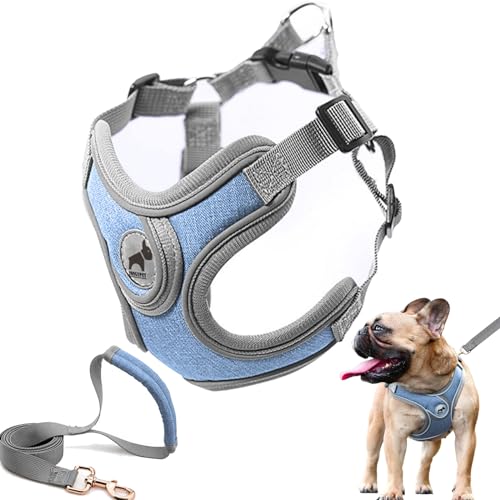 SAEGYPET Animal Harness in S, Blue